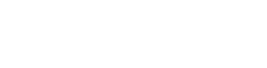 Center for Energy and Environment logo